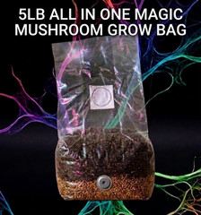 5lb Magic Mushroom All in One CVG Grow Bag with Grain – Ready to Inoculate