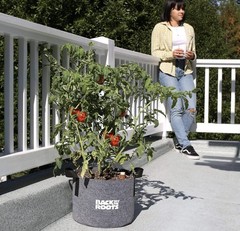 New Back to the Roots Charcoal Grey Self-Watering Fabric Garden Pot