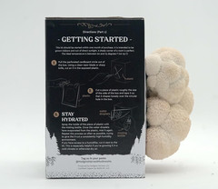 Organic Lion’S Mane Mushroom Growing Kit – Indoor Gardening Kit for Fresh Gourme