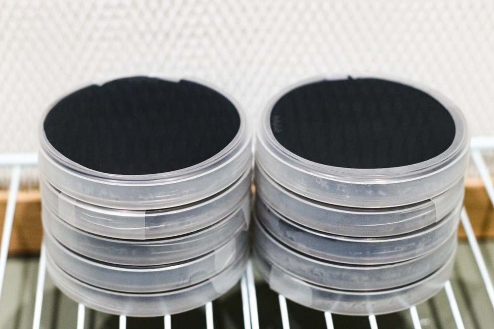 Pre-Poured and Sealed Agar Petri Dish Plates for Mushrooms and Growers in Canada