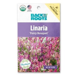 100% Organic Seed Packet – Linaria ‘Fairy Bouquet’ 50mg Flowers