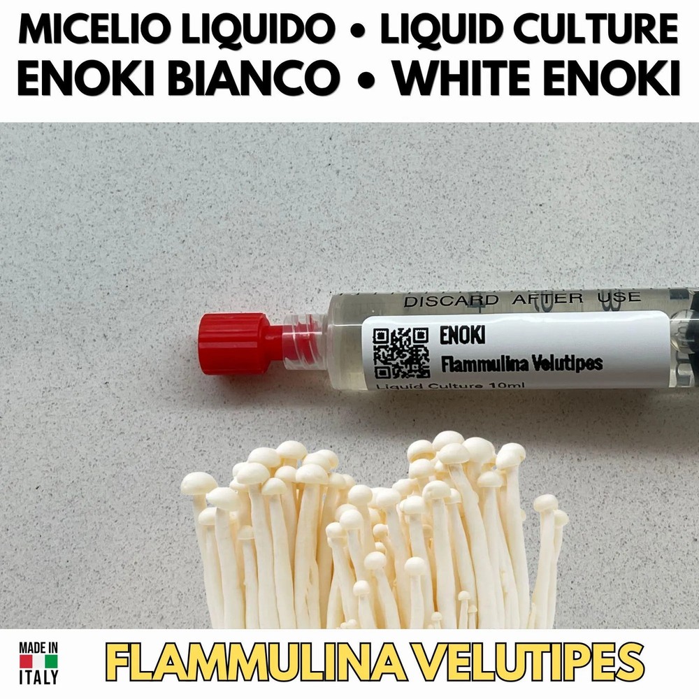 Enoki Mushroom Liquid Culture – Flammulina Velutipes – Professional Mycelium