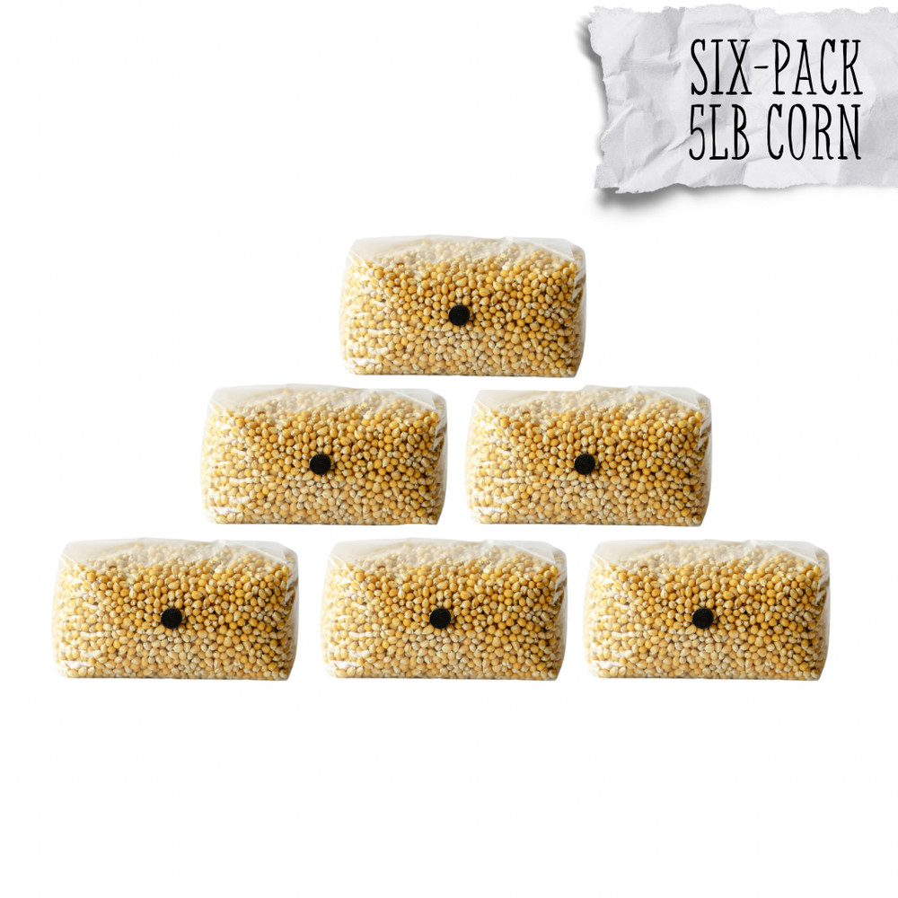6 Pack | 5lb Drippy Corn Grain Spawn