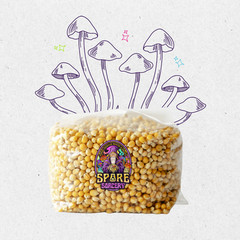 6 Pack | 3lb Drippy Corn Grain Spawn