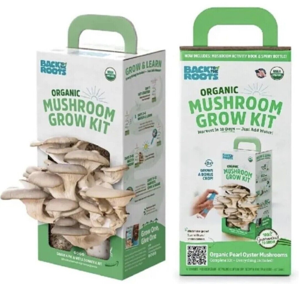 New Organic Mini Mushroom Grow Kit Harvest Gourmet Oyster Mushrooms In 10 days