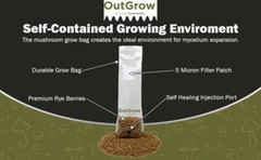 Sterilized Rye Berry Mushroom Substrate (2 one pound bags)
