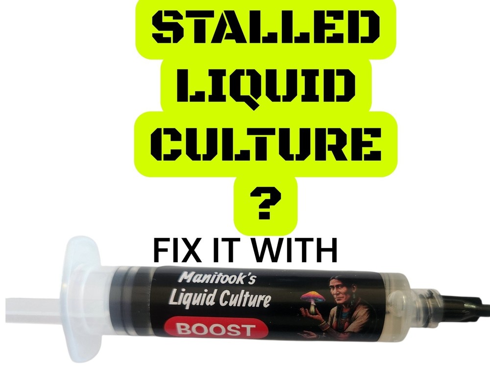 Mushroom Liquid Culture Nutrient BOOST (6 Syringes)