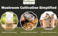 Pasteurized Straw Bulk Mushroom Substrate 5 lb grow bag