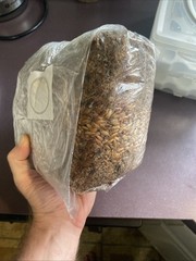 4lb All-in-One Mushroom Grow Bag Easy to Use