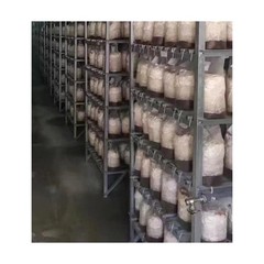 Large Mushroom Spawn Bags 10 Count for Substrate Autoclavable Cultivation