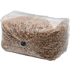 Sterilized Rye Berry Grow Bag (15lbs)