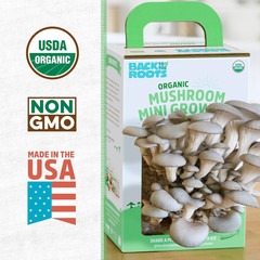 Organic Mini Mushroom Grow Kit, Harvest Gourmet Oyster Mushrooms In 10 days, Top