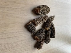 Dried Morel Mushrooms, Excellent condition, BC Harvested 145/LB CAD