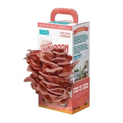 Back to the Roots Organic Pink Mushroom Grow Kit, Harvest Gourmet Mushrooms I…