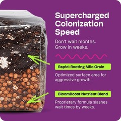 All-in-One Mushroom Grow Kit – 4LB Self-Healing Bag, Fast-Colonizing Substrate,