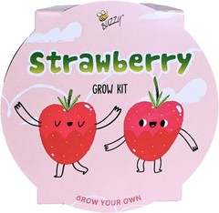 Seeds Strawberry Grow Kit – Basin Ceramic Planter – Complete Indoor/Outdoor G…