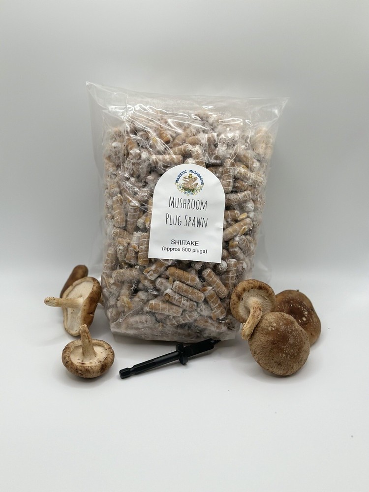 Shiitake Mushroom Plug Spawn 500X And Drill Bit Combo – FREE USA shipping