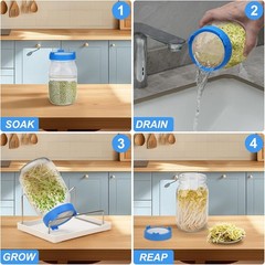 Sprouting Lids Growing Kit, Screen Sprout Lids with Stand, Sprouting jar kit …