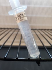 Antler Reishi Mushroom Liquid Culture Syringe