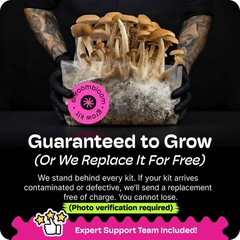 All-in-One Mushroom Grow Kit – 4LB Self-Healing Bag, Fast-Colonizing Substrate,