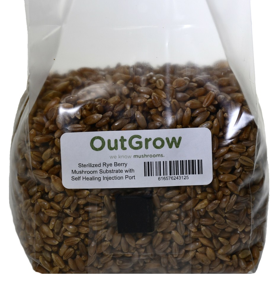 Sterilized Rye Berry Mushroom Substrate With Self Healing Injection Port