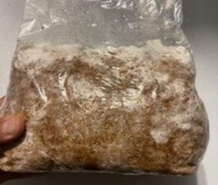 5lb Sawdust/Grain Spawn Mix