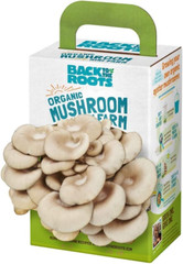 Organic Oyster Mushroom Grow Kit, Harvest Gourmet Mushrooms in 10 Days