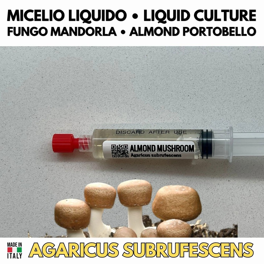 Agaricus Subrufescens Live Mycelium Liquid Cultured Almond Mushroom 10ml