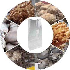 Mushroom Bags Grow Grain Substrate Mycelium Sealable Bag – 30 Count – 8″x5″x20″