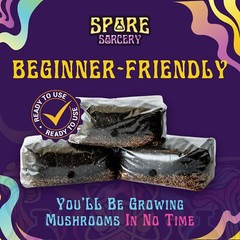 6 Pack | 4LB All-In-One Mushroom Grow Kit | Mushroom Grow Bag
