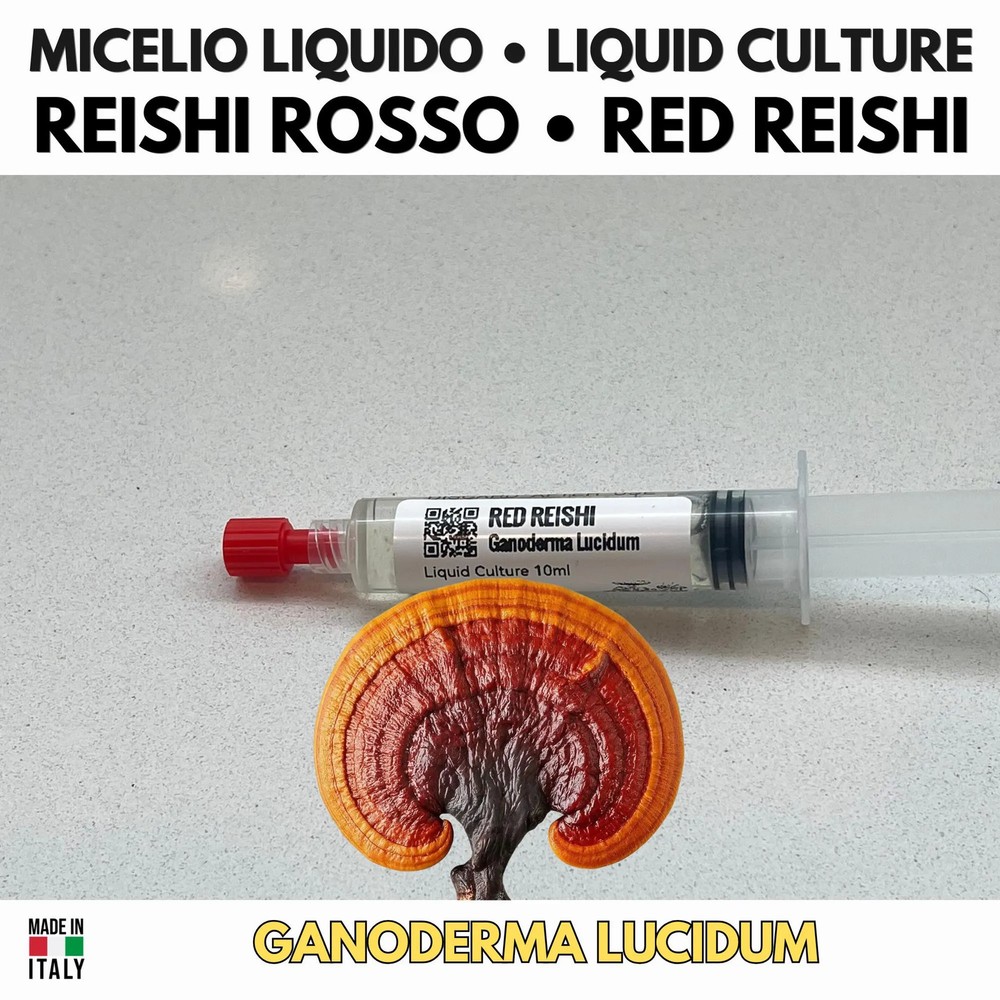 Reishi Red Liquid Culture | Ganoderma lucidum | Premium Mycelium 10ml