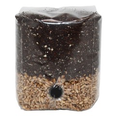 8 X Mini All In One Mushroom Grow Bags