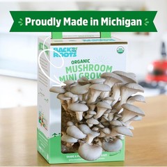 Back to the Roots Organic Mini Mushroom Grow Kit, Harvest Gourmet Oyster Mushroo