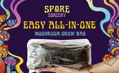 6 Pack | 4LB All-In-One Mushroom Grow Kit | Mushroom Grow Bag