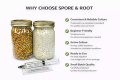 Mushroom Liquid Culture Syringe | 10mL each | Volume Pricing | Spore & Root