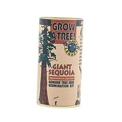 Giant Sequoia | Tree Seed Grow Kit |