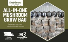 All in One Mushroom Grow Bag (2 Pack)
