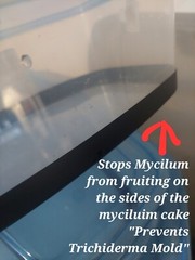 Mushroom Monotub 6-Pack (Fruiting Tub) “Mushroom Growing Monotubs”