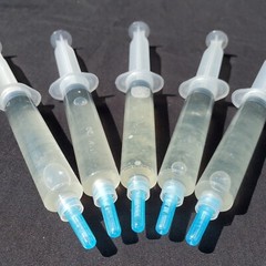 Mushroom Liquid Cultures 10mL Multiple Strains US Seller – WHITE OYSTER