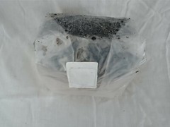 2 All in One Mushroom Grow Bags Sterilized 3 lb GROWING BIO-BAG KIT FAST SHIP[B]