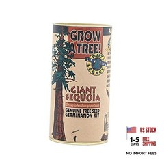 Giant Sequoia | Tree Seed Grow Kit |