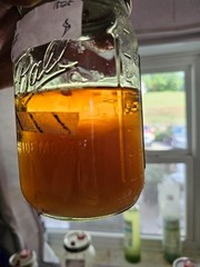 Dr. Silurian’s Elixir of Mycelial Mastery | Liquid Culture Premix