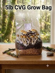 5 Pack 5lb Magic Mushroom CVG Grow Bag w/Grain – Dung Loving Shrooms 25LB TOTAL