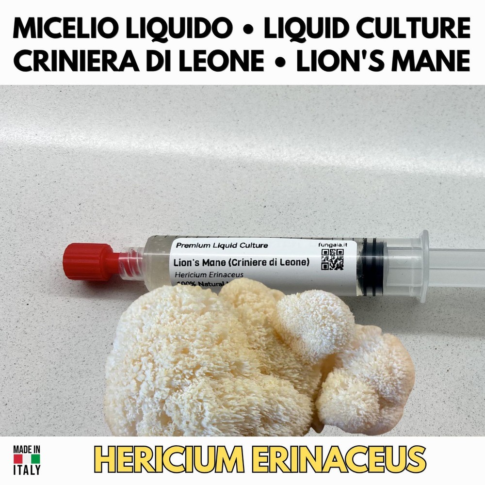 Lion’s Mane Lion’s Mane Liquid Culture 10ml Live Mycelium Hericium Erinace