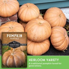 Fairytale Pumpkin Seeds for Planting | Musquée de Provence Heirloom Orange