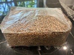 Grain Spawn Bag & Jar Combo – Inoculate, Expand, & Scale