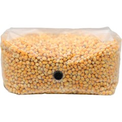 Sterilized Popcorn Grow Bag (5lb)