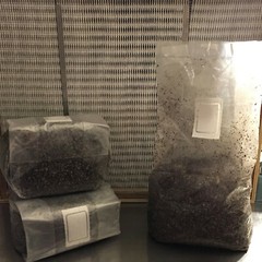 120 LBS Sterilized Compost Bulk Mushroom Substrate Mycology Grow Kit Spawn Bag