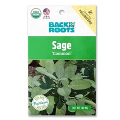 100% Organic Seed Packet – Sage ‘Common’ 140mg Herbs