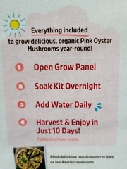 Back To The Roots Organic Pink Oyster Mushroom Grow Kit Harvest Gourmet Fungi